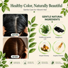 DEXE Herbal Hair Dye Comb | Natural Plant-Based Formula | Easy Hair Coloring at Home | Mess-Free, Even Coverage | Soft, Shiny Results | 200 ml