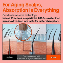 Hair Growth Serum with Massage Brush Applicator – Thickening & Hair Regrowth Scalp Treatment for Fuller, Stronger Hair