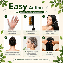 DEXE Herbal Hair Dye Comb | Natural Plant-Based Formula | Easy Hair Coloring at Home | Mess-Free, Even Coverage | Soft, Shiny Results | 200 ml